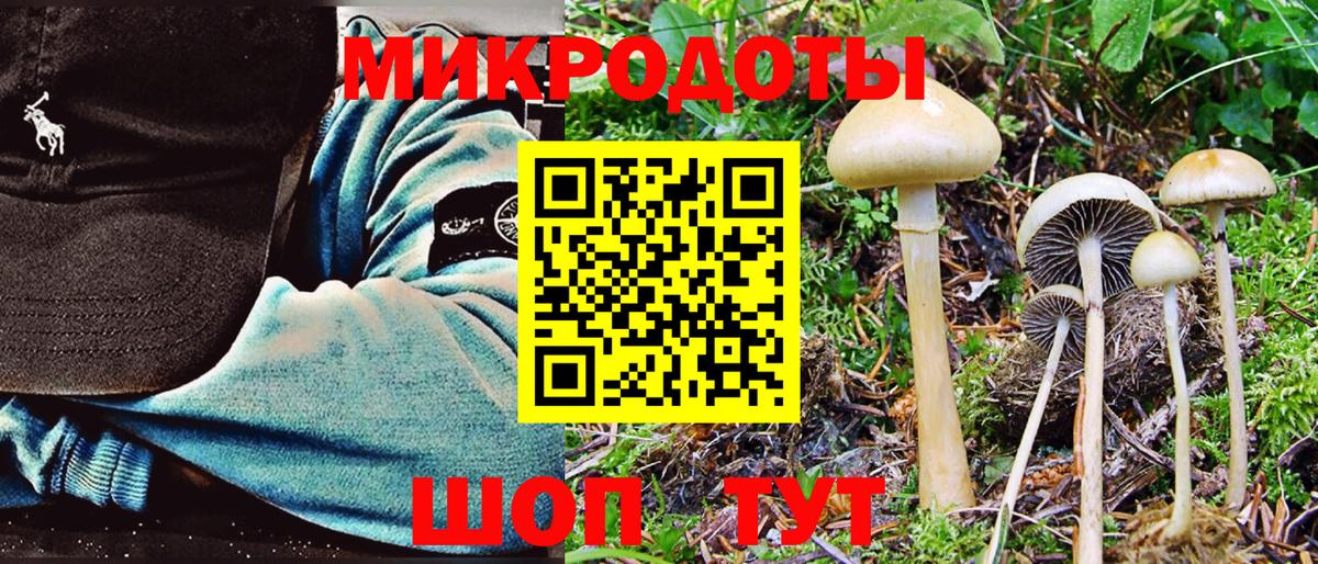Псилоцибиновые грибы GOLDEN TEACHER  Вход с VPN  Новоалександровск  Галлюциногенные грибы мухоморы 