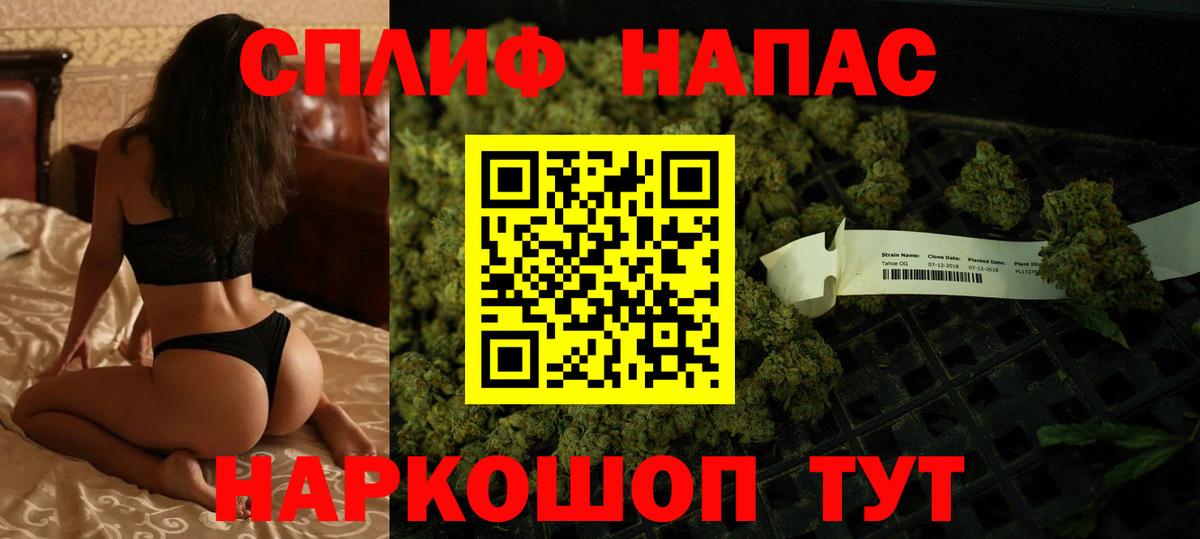 Конопля SATIVA & INDICA Новоалександровск